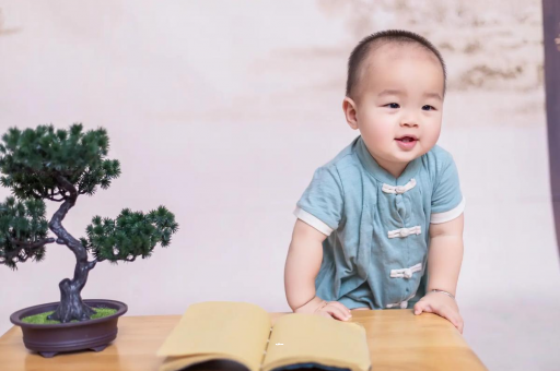 汕尾可爱的企鹅宝宝